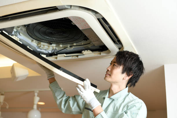 Best Ductwork Cleaning Services  in Auburn, MI